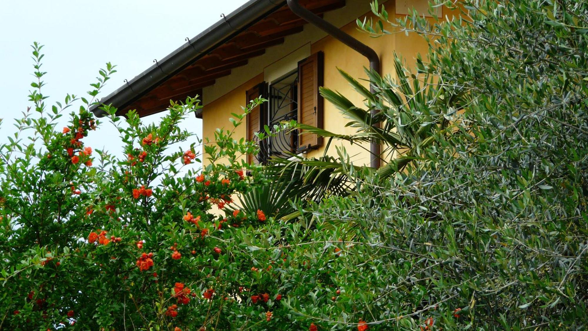 Albergo Le Piante Manerba del Garda Luaran gambar